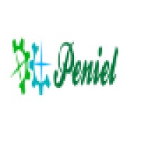PENIEL ENGINEERS logo - Similar company to Edc Projects Llp
