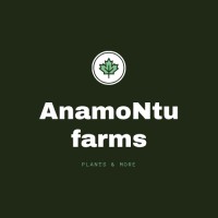 AnamoNtu Farms logo - Similar company to Daachi Organization