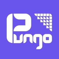 PUNGO logo - Similar company to Affluence Media Agency
