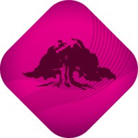 Sparebanken DIN Telemark logo - Similar company to Ungt Entreprenørskap Vestfold Og Telemark
