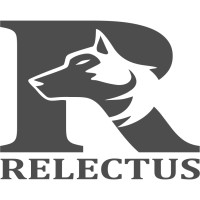 Relectus logo - Similar company to Dp It Services