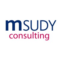 MSUDY Consulting logo - Similar company to Clinica Massey