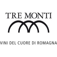 Tre Monti logo - Similar company to Wayform Studio