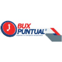 Bux Puntual SA de CV logo - Similar company to Empresasctm