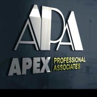 Apex Professional Associates logo - Similar company to Excel Academy