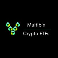 Multibix Crypto ETFs logo - Similar company to Viewws