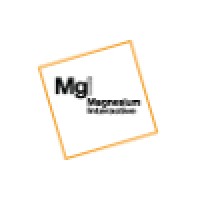 Magnesium Interactive