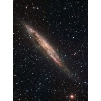 Red Temática En Tics - Conacyt