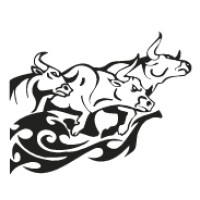 Stampede Electric logo - Similar company to Knk Solutions Ltd