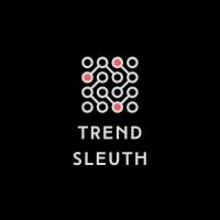 Trend Sleuth logo - Similar company to Consumer Compass Insights