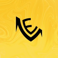 LEVITATE ESPORTS logo - Similar company to Vandal Studios