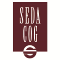 SEDA-Council of Governments logo - Similar company to Decysyon Latam