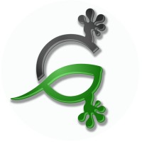 Grey Gecko LLC logo - Similar company to Grey Gekko