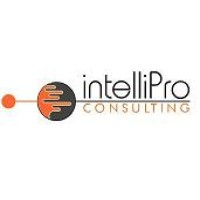 Intellipro Consulting logo - Similar company to Amiri Digital