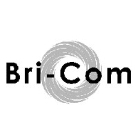 BriCom Consulting logo - Similar company to Bricom