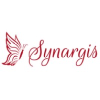 Synargis logo - Similar company to Synargies Sas