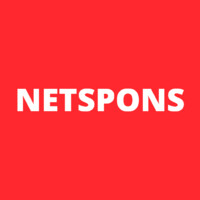 Netspons logo - Similar company to Pinnone