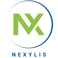 Nexylis logo - Similar company to Adt Solutions