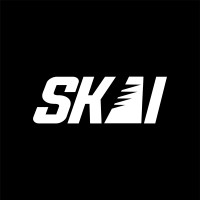 SKAI Software Solutions logo - Similar company to Codexo Software Solutions