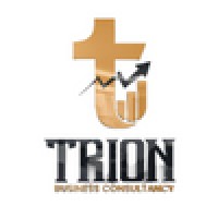 Trion Business Consultancy logo - Similar company to B2B Document Clearing