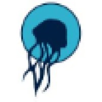 Jellyfish Art logo - Similar company to Precised.Ai