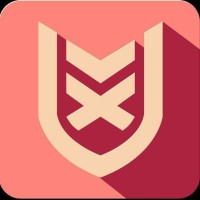VXV logo - Similar company to Coding101