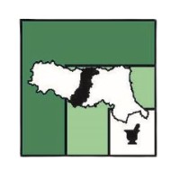 Federfarma Modena logo - Similar company to Flutter Modena