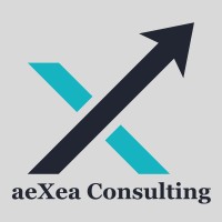 aeXea Consulting Inc. logo - Similar company to Joghide Home Care