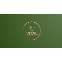 VITAL , Business consulting and services logo - Similar company to Idea To Project