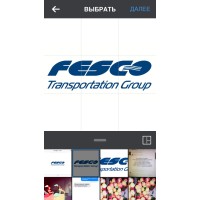 FESCO Transportation group logo - Similar company to Первая Грузовая Компания - Пгк