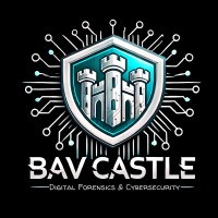 BAV CASTLE - Digital Forensics & Cyber Security Research Services logo - Similar company to Cyber Sentinel