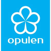 Opulen International Trading and Contracting W.L.L logo - Similar company to Vendex International Trading Co