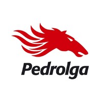 Pedrolga logo - Similar company to Passi