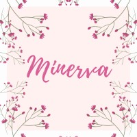 Minervaa.in logo - Similar company to Tezsid