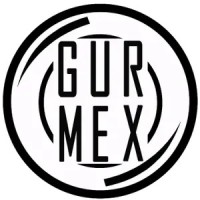 Gurmex logo - Similar company to Rui Sistemi Di Sicurezza