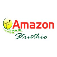 AMAZON STRUTHIO ( Distribuidor Autorizado) logo - Similar company to Ft Distribuidora