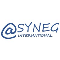 SYNEG INTERNATIONAL logo - Similar company to Deka Expertise