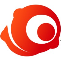 Oxinow Technologies Limited logo - Similar company to Oyopay