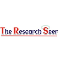 The Research Seer logo - Similar company to Portech Ltd.