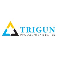 Trigun Infolabs Private Limited logo - Similar company to Diversity Placement Solutions Llp