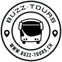 Buzz-Tours logo - Similar company to Discover.Swiss