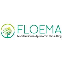 Floema Consulting logo - Similar company to Cassandro S.R.L.