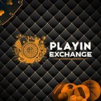 playinexchange logo - Similar company to Buzz Click Win