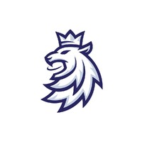Český hokej logo - Similar company to Český Olympijský Tým