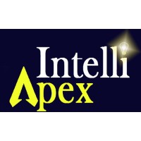 Intelli-Apex Consulting logo - Similar company to Chrisnel Group