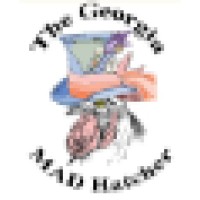 The Georgia Mad Hatcher logo - Similar company to Wibexly