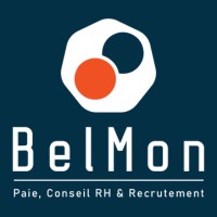 BelMon logo - Similar company to Belmont Sécurité