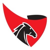 SAFEMAX FIRE & SAFETY LLC logo - Similar company to Falcon Fire & Safety Equipment Est.