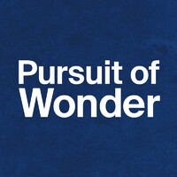 Pursuit of Wonder logo - Similar company to Life Noggin - Keep On Thinking!