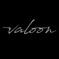 Valoon Oy logo - Similar company to Prakticum